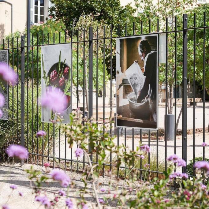 Taote - Studio Avec Terrasse Au Coeur De Ville Brignoles Exteriör bild